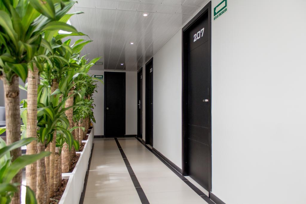Hotel Metropolitano نيفا المظهر الخارجي الصورة